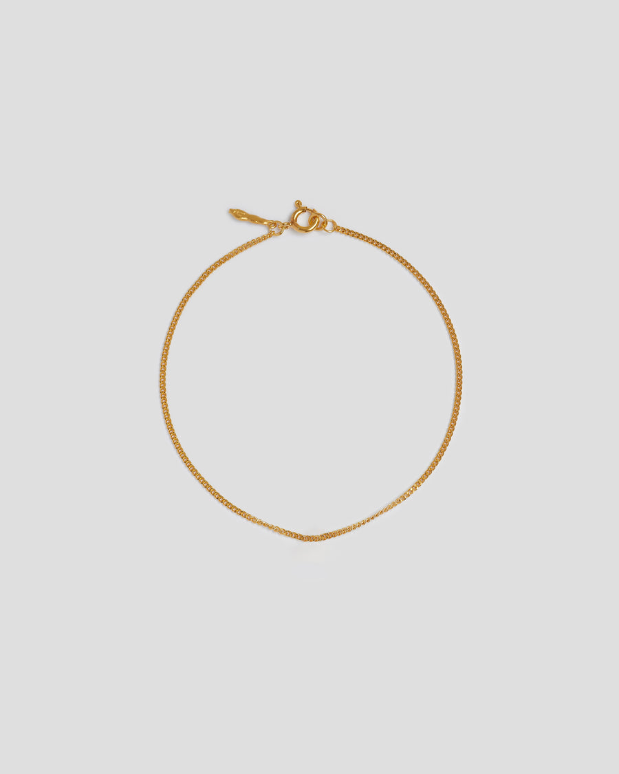 Barbela Media Ankle Bracelet