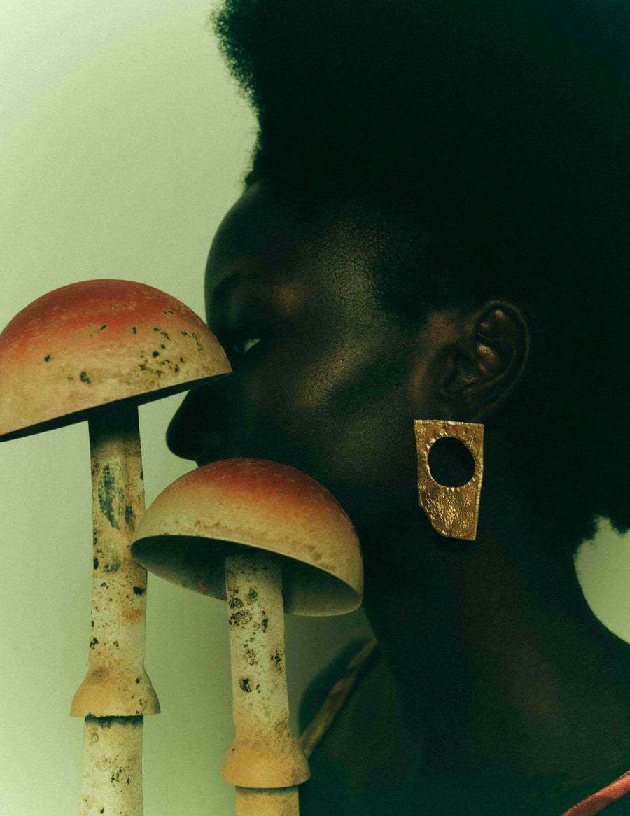 ANITA Brincos Desiguais