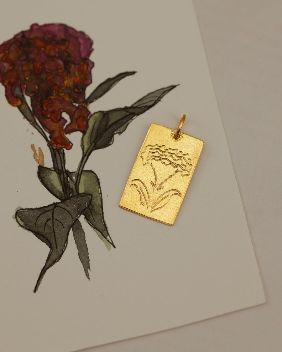 Celósia (Flor de Setembro) Amuleto