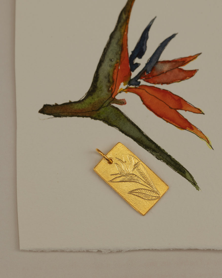 Estrelícia (Flor de Outubro) Amuleto
