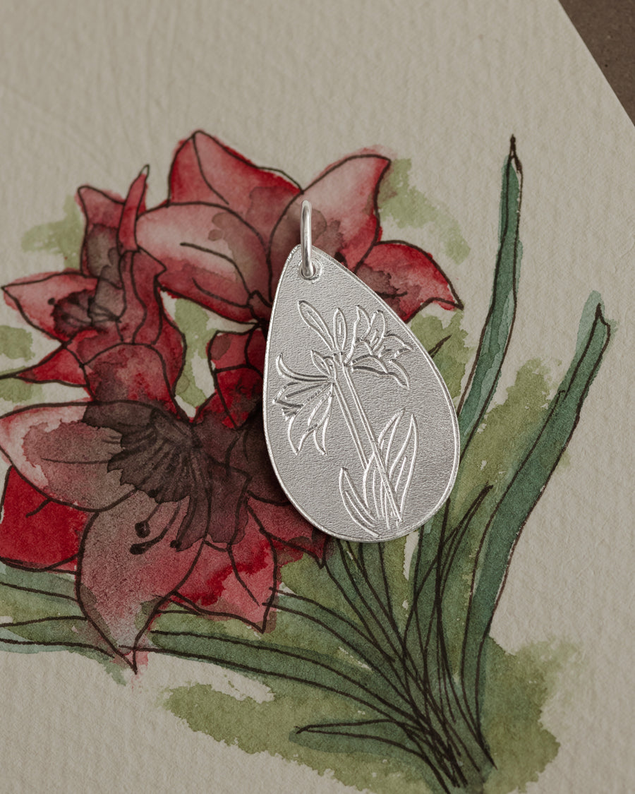 Amarilis (Flor de Dezembro) Amuleto
